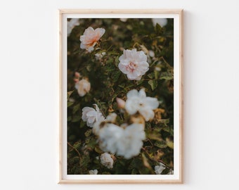 Pale Pink Flower Photography Print, Roses Wall Art, Botanical Garden Photography, Floral Photography, Dark Floral Botanical Print Pale Pink