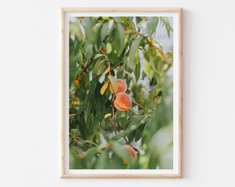 Peaches Photography Print, Peach Print to Frame, Food Art Gift for Foodie, Kitchen Wall Art, Food Fruit Print, Peach Poster, Summer Fruit