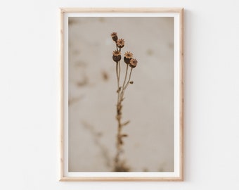 Impresión de fotografía botánica de playa neutral, arte de la naturaleza marrón beige, arte de pared neutral moderno de la playa, decoración orgánica del hogar de la playa, boho minimalista