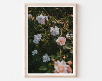 Pale Roses Photography Print, Botanical Blush Pink Wall Art, Floral Bedroom Wall Art, Green Pale Pink Moody Flower Wall Art, Flower Photo