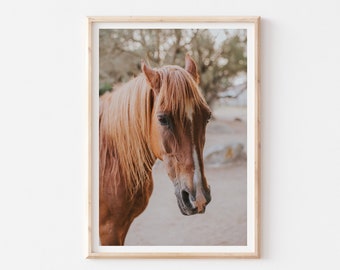 Horse Print, Horse Wall Art, Modern Farmhouse Art, Horse Photography Print, Large Wall Art, Rustic Horse Farmhouse Decor, Equestrian Art