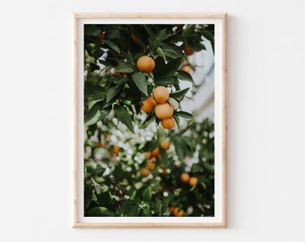 Orange Tree Poster, Orange Tree Print, Orange Fruit Poster Print, Orange Tree Photography, Kitchen Fruit Tree Art, Fruit Photography Print