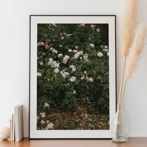 Dark Floral Print, Dark Floral Art, Flower Photography, Rose Prints, Rose Photograph, Botanical Print, Photography Prints, Floral Wall Art image 5