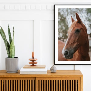 Brown Horse Print, Horse Photography, Equestrian Wall Art, Farmhouse Decor, Horse Print, Printable Wall Art, Large Horse Poster image 3