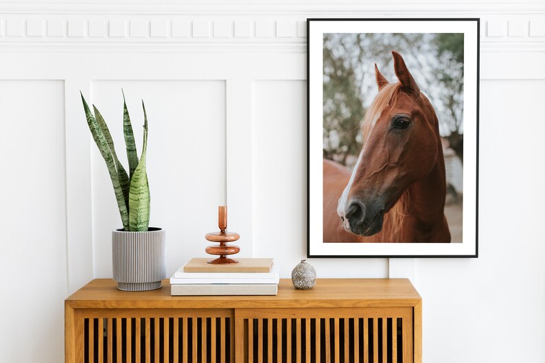 Brown Horse Print, Horse Photography, Equestrian Wall Art, Farmhouse Decor, Horse Print, Printable Wall Art, Large Horse Poster image 3