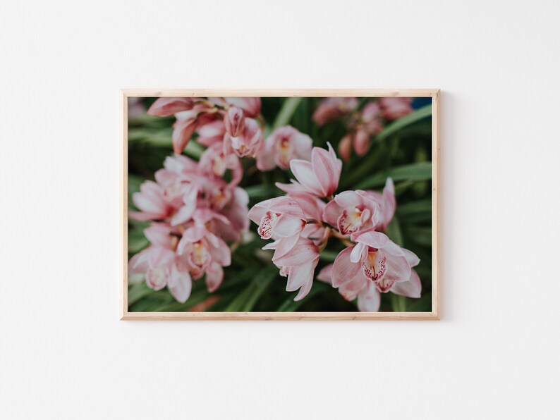 Blush Pink Orchids Wall Art, Light Pink Floral Wall Decor, Feminine Botanical, Photography Print, Master Bedroom Floral, Pastel Orchid Print image 1