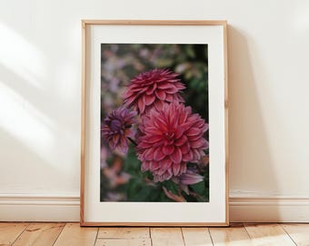 Digitalt tryck med rosa mauve dahlior, stämningsfull väggkonst, blommig sovrumsdekor, botanisk konst, vårblommor Cottagecore-dekor