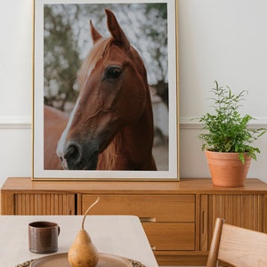 Brown Horse Print, Horse Photography, Equestrian Wall Art, Farmhouse Decor, Horse Print, Printable Wall Art, Large Horse Poster image 5