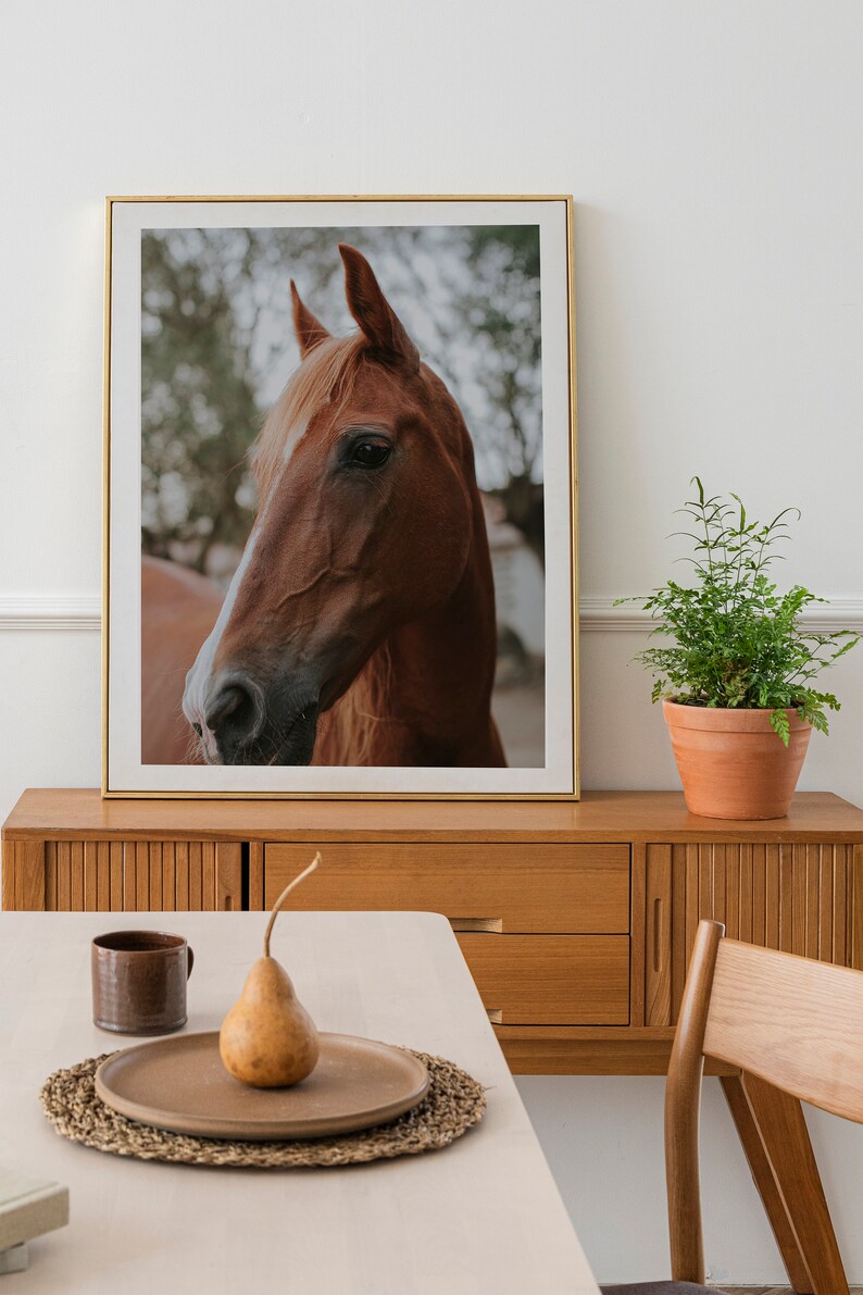 Brown Horse Print, Horse Photography, Equestrian Wall Art, Farmhouse Decor, Horse Print, Printable Wall Art, Large Horse Poster image 5