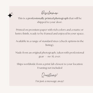 K&ouml;nnte beinhalten: Professionell gedrucktes Foto mit den Texten &bdquo;Disclaimer&ldquo; und &bdquo;Questions?&ldquo; auf hellrosa Hintergrund. Der Text beschreibt die Druckqualit&auml;t, Gr&ouml;&szlig;en und Versanddetails.