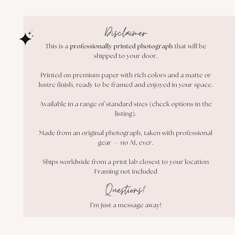 K&ouml;nnte beinhalten: Professionell gedrucktes Foto mit den Texten &bdquo;Disclaimer&ldquo; und &bdquo;Questions?&ldquo; auf hellrosa Hintergrund. Der Text beschreibt die Druckqualit&auml;t, Gr&ouml;&szlig;en und Versanddetails.