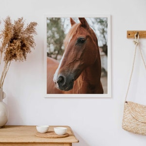 Brown Horse Print, Horse Photography, Equestrian Wall Art, Farmhouse Decor, Horse Print, Printable Wall Art, Large Horse Poster image 6