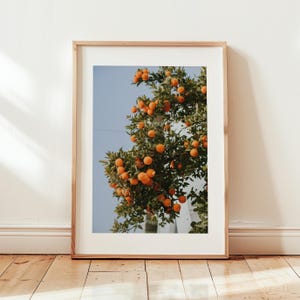 Seville Travel Photography Print, Spain Seville Poster, Kitchen Fruit Decor, Seville Gift Idea, Seville Art, Oranges Print, Travel Art Decor
