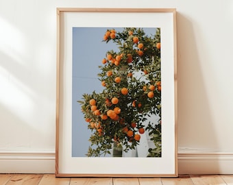 Seville Travel Photography Print, Spain Seville Poster, Kitchen Fruit Decor, Seville Gift Idea, Seville Art, Oranges Print, Travel Art Decor