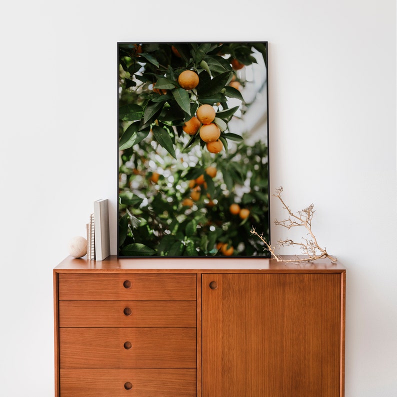 Orange Tree Poster, Orange Tree Print, Orange Fruit Poster Print, Orange Tree Photography, Kitchen Fruit Tree Art, Fruit Photography Print image 5