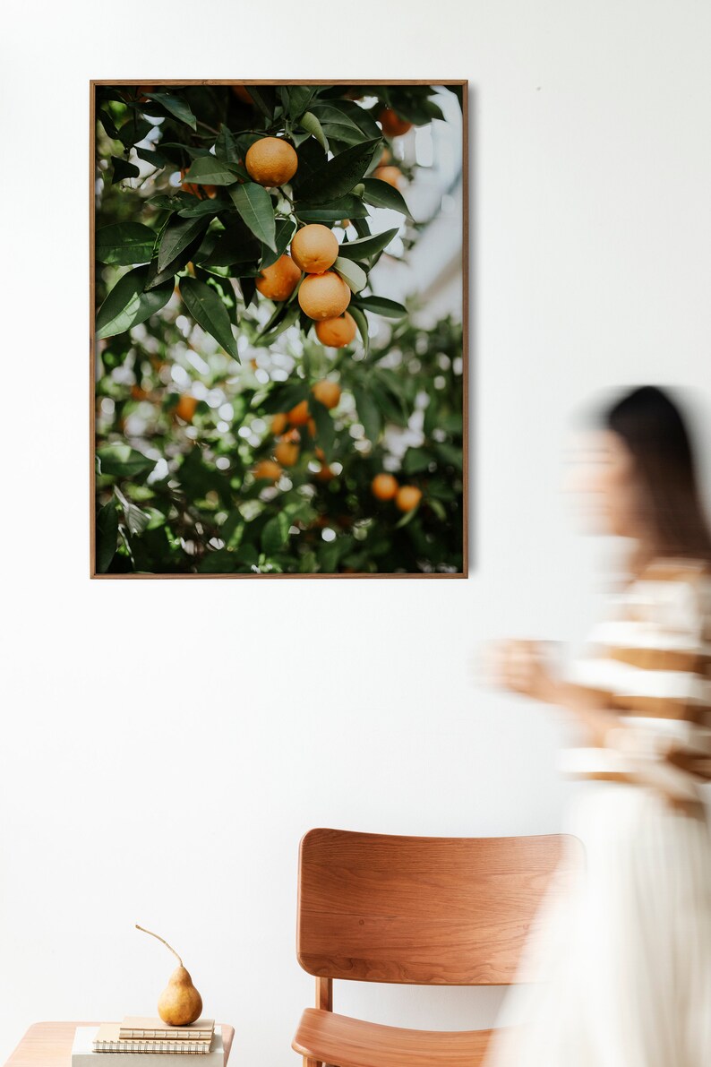 Orange Tree Poster, Orange Tree Print, Orange Fruit Poster Print, Orange Tree Photography, Kitchen Fruit Tree Art, Fruit Photography Print image 4