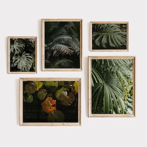 Tropical Botanical Wall Art Set, Monstera & Palm Leaves Prints, Dark Green Jungle Decor, Rainforest Printable Gallery Set