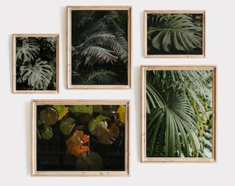 Tropisk botanisk väggkonst, Monstera- och palmbladstryck, mörkgrön djungeldekor, utskrivbart galleriset med regnskog