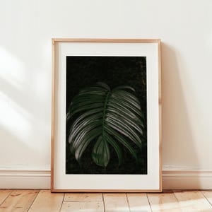 Palm Tree Dark Green Printable, Nature Photo Print, Botanical Print, PRINTABLE WALL ART, Tropical Art, Maximalist Decor, Tropical Print