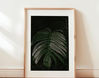 Palmträd mörkgrönt utskrivbart, naturfototryck, botaniskt tryck, utskrivbar väggkonst, tropisk konst, maximalistisk dekor, tropiskt tryck