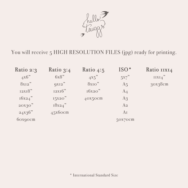 May include: A chart showing different aspect ratios and their corresponding sizes in inches and centimeters. The chart includes ratios like 2:3, 3:4, 4:5, and ISO standard sizes like A5, A4, A3, A2, and A1. The chart also includes a ratio of 11x14, with a size of 30x38 centimeters.