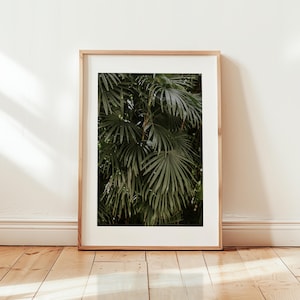 Moody Palm Tree Printable Wall Art, Dark Green Tropical Leaves, Jungle Botanical Print, Boho Nature Decor, Instant Download