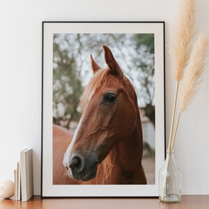 Brown Horse Print, Horse Photography, Equestrian Wall Art, Farmhouse Decor, Horse Print, Printable Wall Art, Large Horse Poster image 4