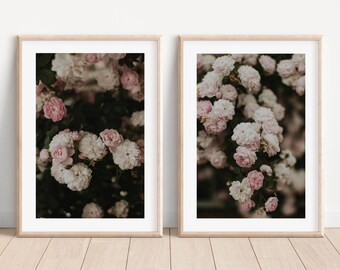 Stämningsfull blommig väggkonst set om 2, rosa vita rosor, botaniska sovrumstryck, mörk estetisk digital konst, Cottagecore väggdekor