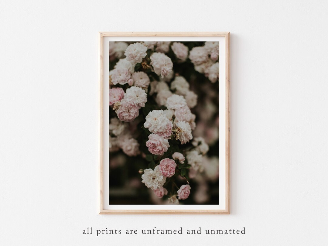 Dark Floral Wall Art Moody Flower Photography Wall Decor Etsy