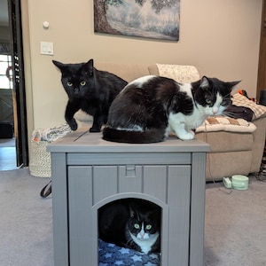 May include: A gray rectangular pet enclosure with a front arched opening and a flat top surface. A solid black cat and a black and white cat sit on top of the unit, while a second black and white cat rests inside the enclosure on a blue star-patterned mat.