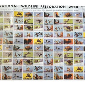 Vintage Stamp Prints USPS 1987, National Wildlife Restoration Week, Prints from 1938, Full Poster Complete - Great for Project!