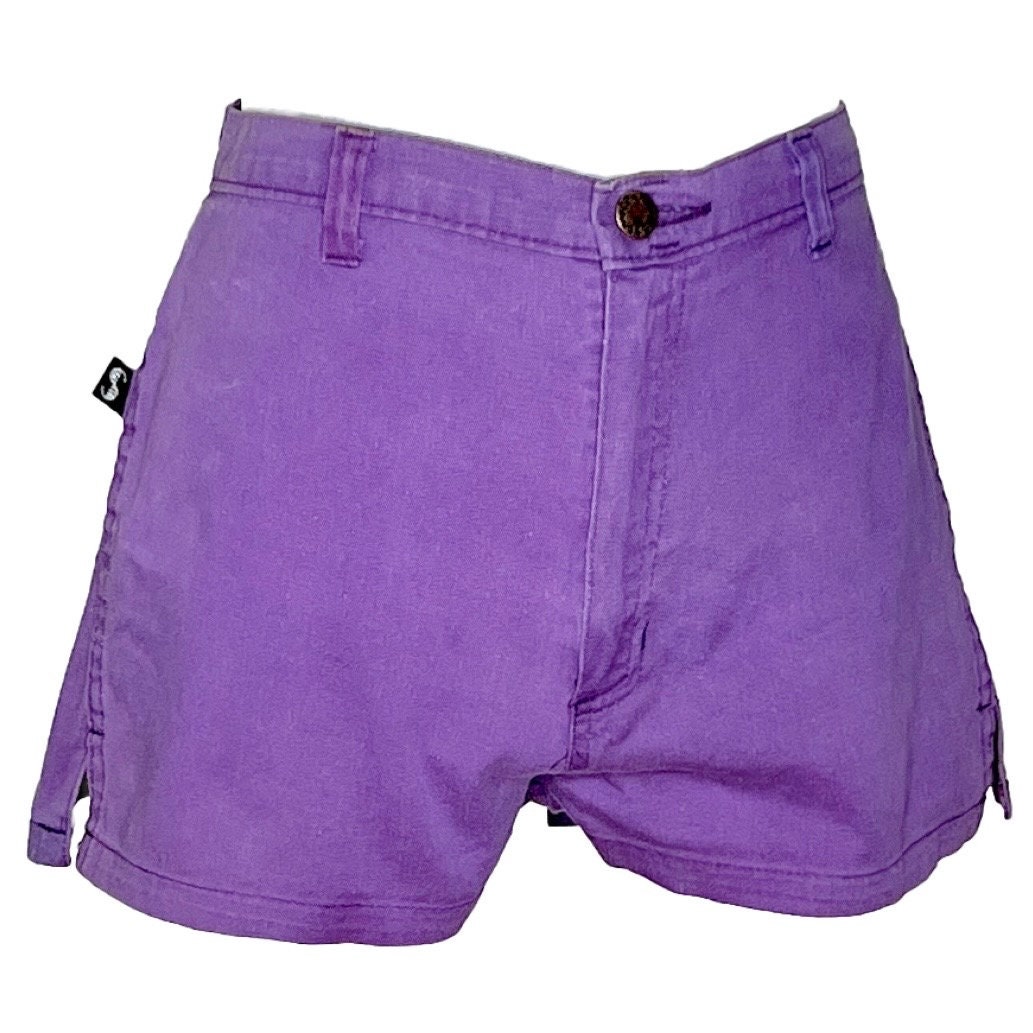 Vintage 70s High Waisted Short Shorts: Purple Retro Active