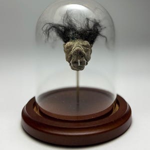 May include: A unique decorative piece featuring a small, textured sculpture of a face with black hair, encased in a glass dome. The dome sits on a wooden base, creating a vintage or antique aesthetic.