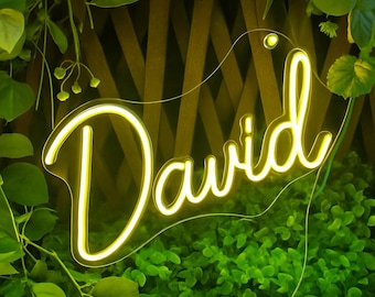Letrero de neón personalizado con nombre: Luz LED personalizada para la decoración del dormitorio.