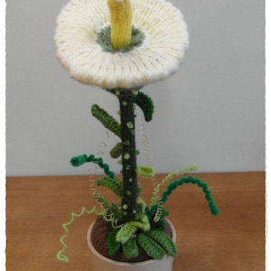 May include: A white knitted flower with a yellow stem and a single black eye. The flower is in a brown pot with green leaves and vines.
