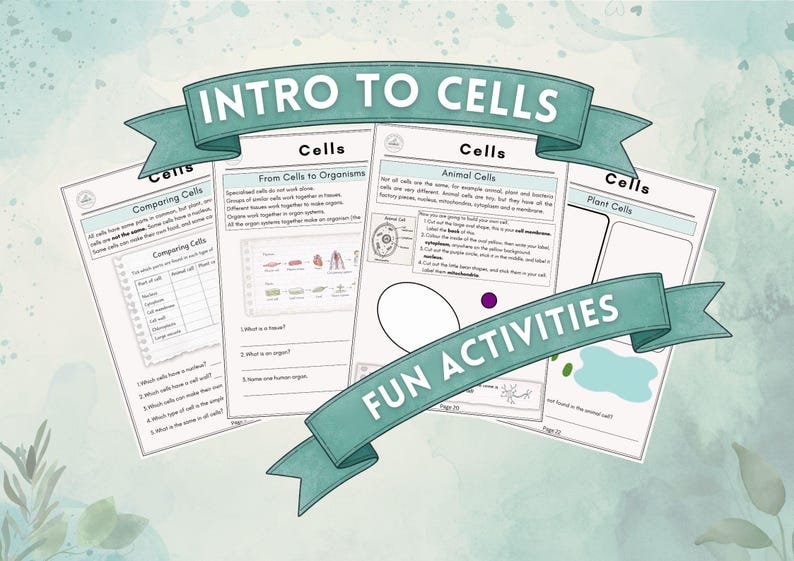 KS2 Science Unit – Living Things & Cells | Biology Worksheets, Life ...