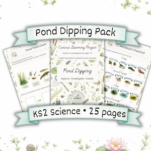 Puede incluir: Conjunto de materiales educativos titulado "Pond Dipping Pack" con el texto "KS2 science • 25 pages". El paquete incluye guías sobre las cadenas alimentarias de los estanques, un proyecto de aprendizaje curioso y una lista de verificación de minianimales. Las ilustraciones presentan la vida en el estanque.