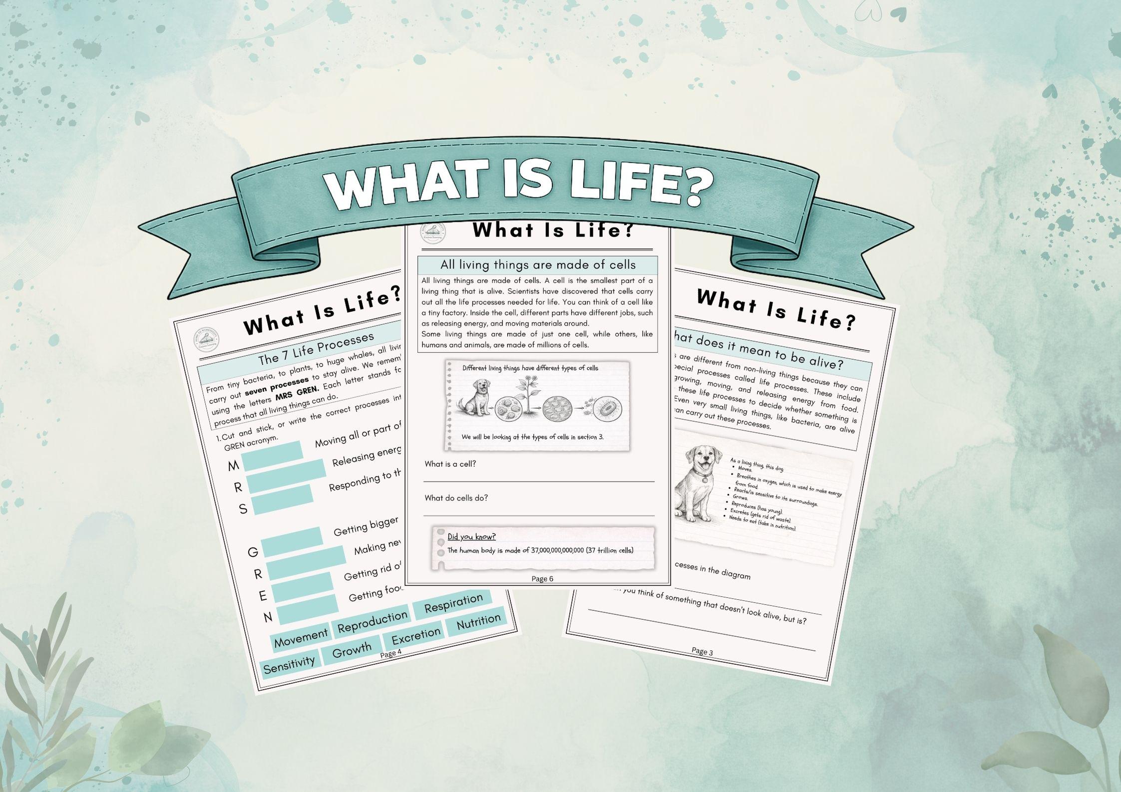 KS2 Science Unit – Living Things & Cells | Biology Worksheets, Life ...