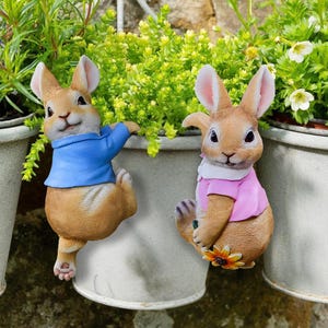 May include: Two decorative rabbit figurines. One rabbit wears a blue jacket, the other a pink shirt. Both have brown fur, pink ears, and are positioned near potted plants with green foliage and white flowers.