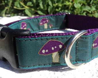 Dog Collar Quick Release Dog Collar or Martingale Dog Collar Magic Mushrooms, 1” width, choose ribbon color: sizes S - XL