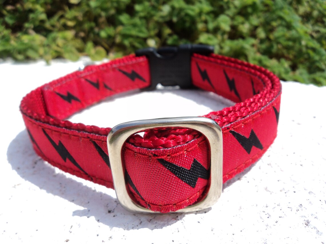 Lightning Bolt Black Dog Collar 3/4or 1 Side Etsy