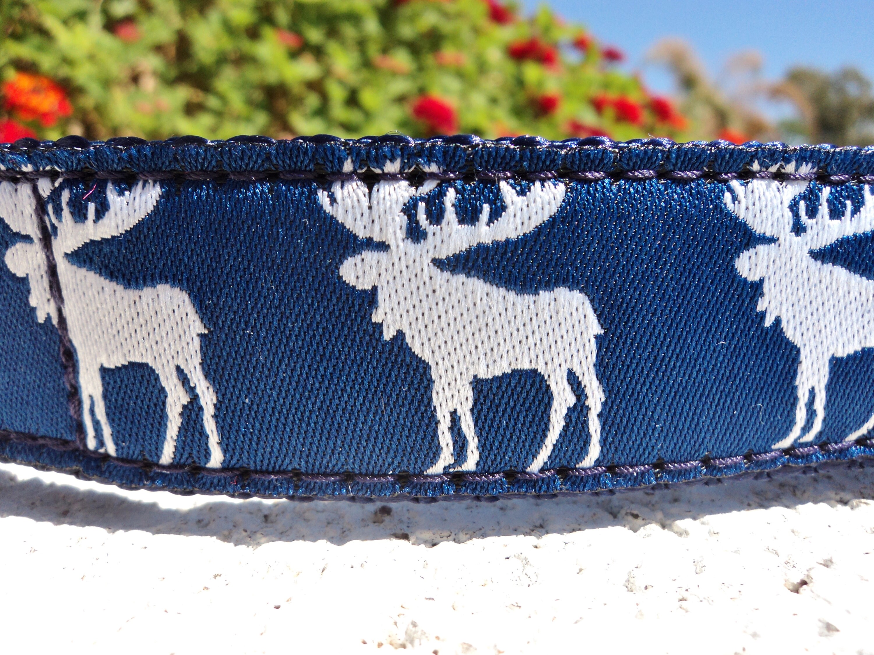 Moose dog collar 1 Flat Side Release or Martingale Etsy