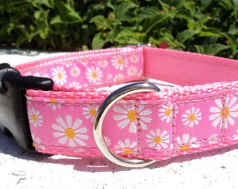 Dog Collar Pink Daisies Quick Release Dog Collar or Martingale Dog Collar in 3/4” or 1” width, Pink Daisies