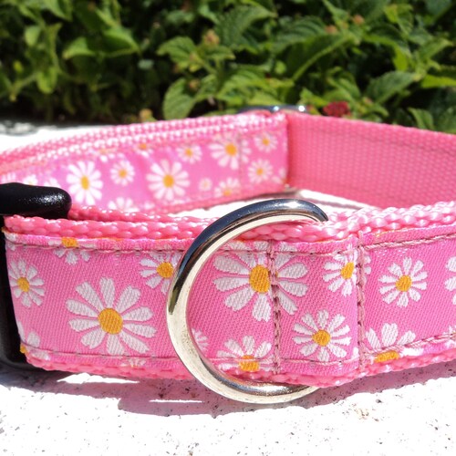 Mama's Girl Dog Collar Custom Dog Collar Martingale Etsy