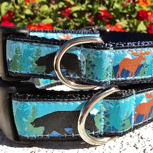 Dog Collar Bear & Moose; Quick Release 1” width, sizes S - L