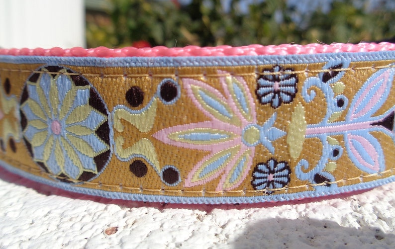 Dog Collar Rose Gold Zinnia Quick Release Dog Collar or Martingale Dog Collar, 3/4 or 1 width, sizes S L, image 7