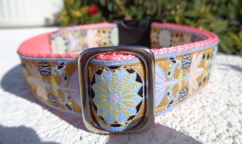 Dog Collar Rose Gold Zinnia Quick Release Dog Collar or Martingale Dog Collar, 3/4 or 1 width, sizes S L, image 6