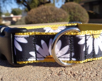 Dog Collar Quick Release Dog Collar or Martingale Dog Collar Daisies, 1" width, S - XL