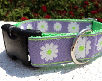 Dog Collar Quick Release Dog Collar or Martingale Dog Collar Lavender Daisies 1” width, adjustable, sizes S - XXL - both collar styles shown