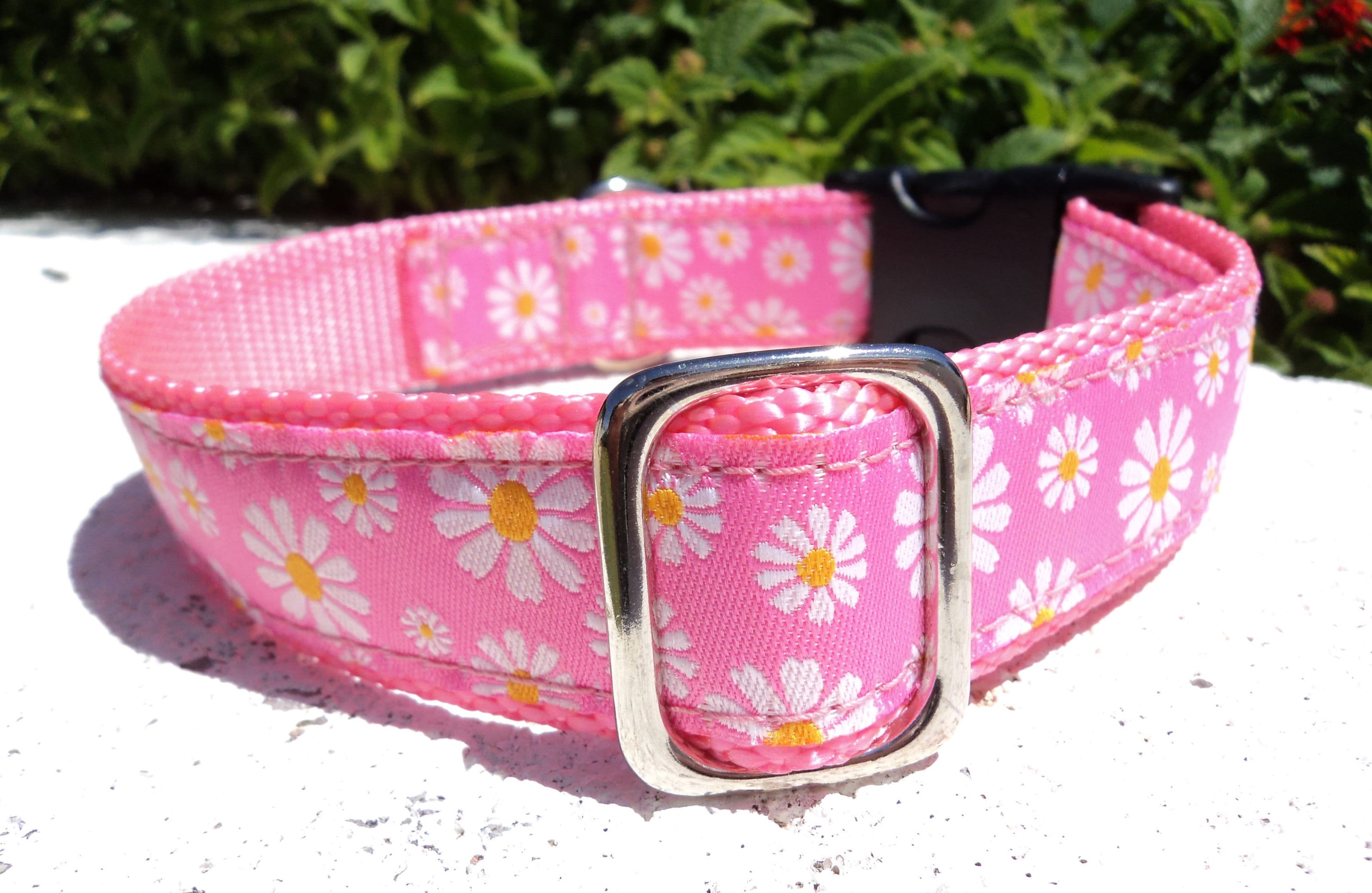 Girl Dog Collar 3/4 or 1 Flat Side Release Etsy